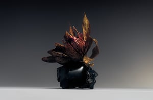Thales_Still_life1771_final_hires